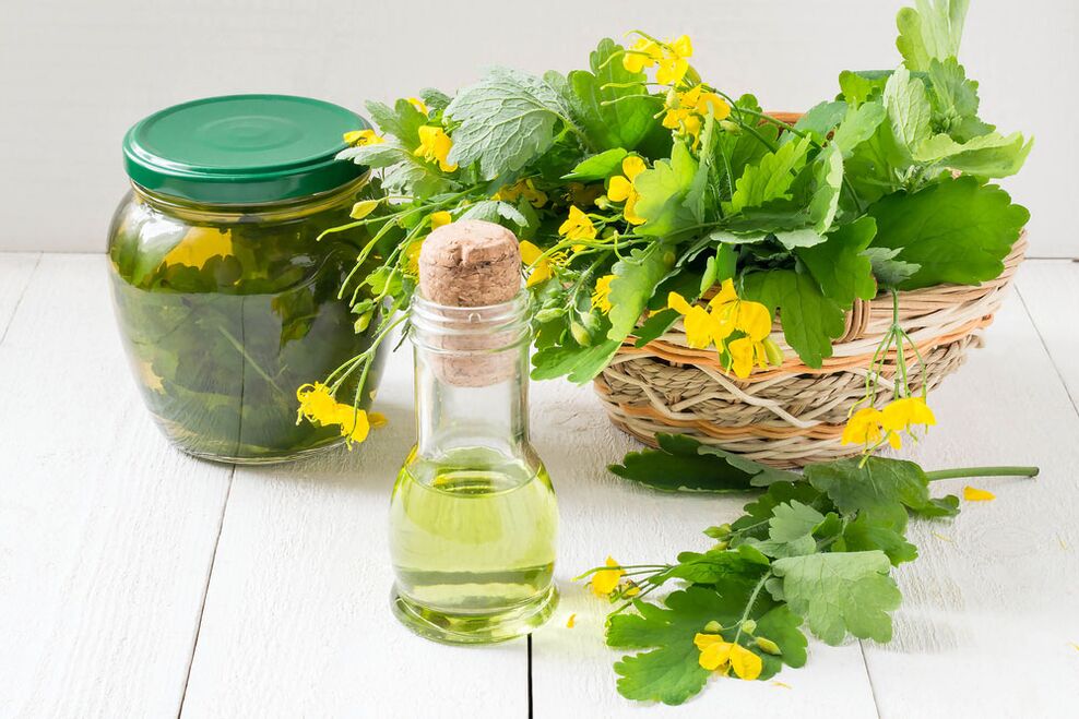 Infusión, aceite e celidonia recén colleita contra o fungo das unhas dos pés